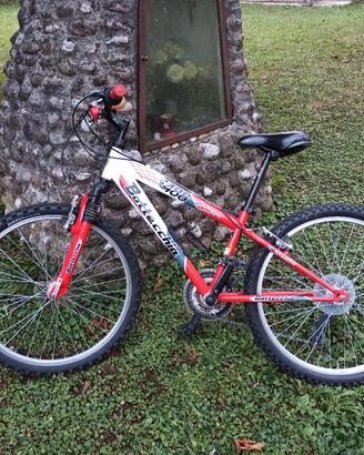 Mountain bike 
