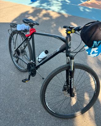 Lombardo Amantea 200