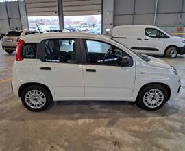 FIAT PANDA 1.0 70cv S/S Hybrid E6d-T Easy 5 PORTE