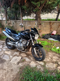 Honda Hornet del 2001