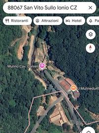 Terreno agricolo castagneto/querceto