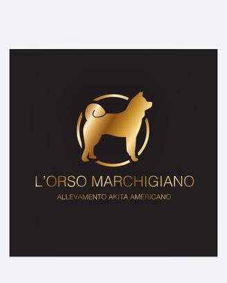 Akita americano