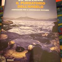 Libro il purgatorio dell'angelo