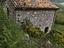 Immagine 12