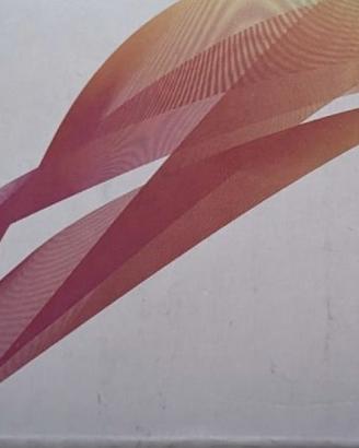 Web Cam Full HD 1080P