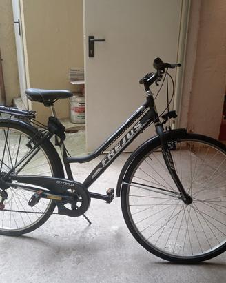 Bicicletta Frejus Storm come nuova