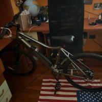 Bici elettrica