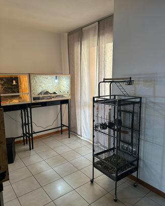 Gabbia per cennerino o altri pappagalli