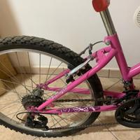 Bicicletta bambina