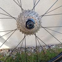 Ruote URSUS da strada in Carbonio