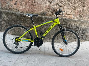Mtb montana escape ragazzo/a 24”