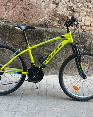 Mtb montana escape ragazzo/a 24”