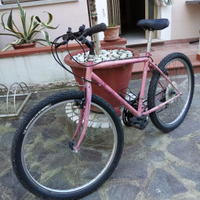 Bici mountain-bike