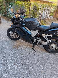 Honda vfr 800 vtec