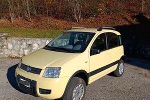 Fiat Panda 4x4 diesel
