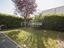 Immagine 25