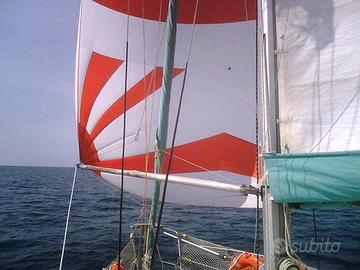 Cabinato a vela Feeling 286 Special