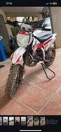 Minicross profive MXT 50 2 tempi