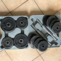 Set manubri con pesi