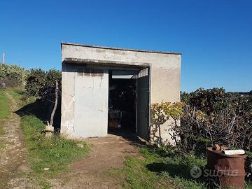 Aranceto + attrezzi + deposito