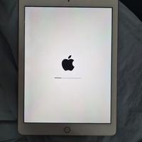 ipad gold cellular A1823