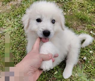 Punch: 3 mesi taglia grande