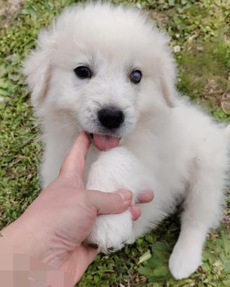 Punch: 3 mesi taglia grande