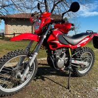 beta alp 4.0 