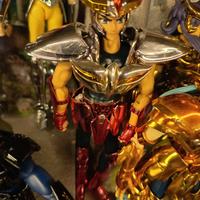 saint seiya ,i cavalieri dello zodiaco