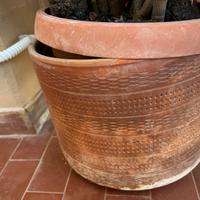 Vaso terracotta decorato