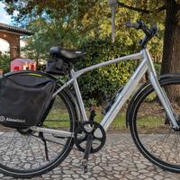 Adriatica Commuting taglia L