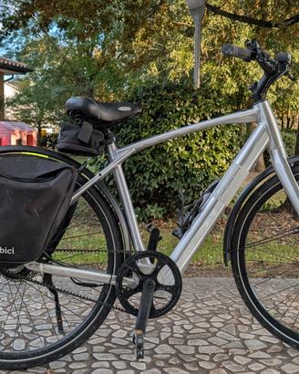 Adriatica Commuting taglia L