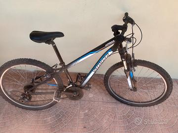 Mtb 24’