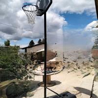 Canestro regolabile da giardino