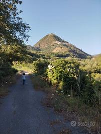 Terreno agricolo