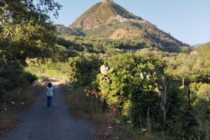 Terreno agricolo