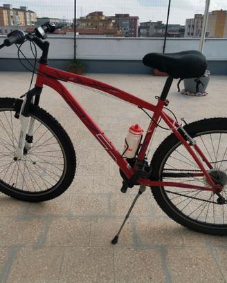Mountain Bike 27.5 + omaggio