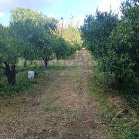 Terreno - Piedimonte Etneo