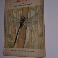 Odonata - fauna d'Italia 1956