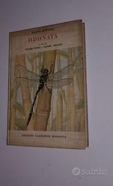 Odonata - fauna d'Italia 1956