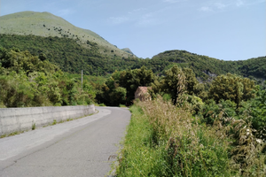 Porzione di fabbricato