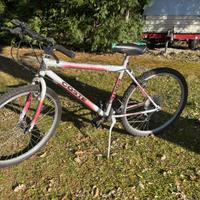 bicicletta