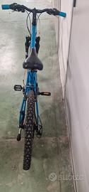 bici mtb 24