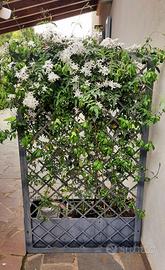 Fioriera con grigliato Gelsomino