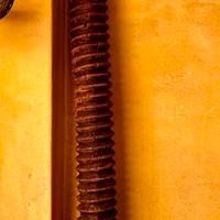 Antica vite in legno palmento