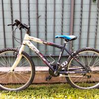 bicicletta
