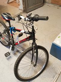bicicletta per bambini 