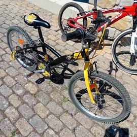 MTB 20 '