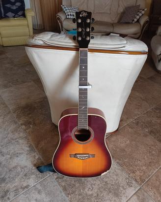 chitarra eko 