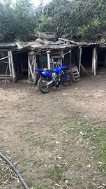 Yamaha Majesty 250 - 2009